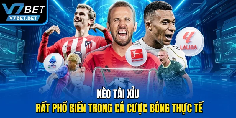 Kèo tài xỉu rất phổ biến trong cá cược bóng thực tế