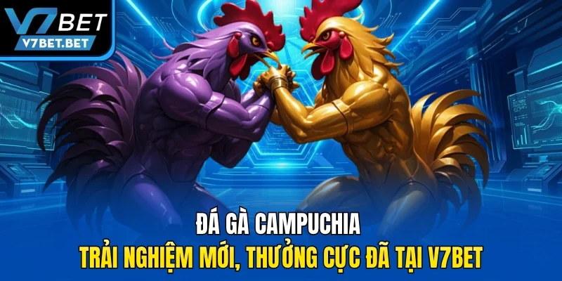 Đá Gà Campuchia – Trải Nghiệm Mới, Thưởng Cực Đã Tại V7BET